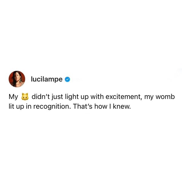 Thumbnail of p-dbxlxo2ytev-c9eb494d09d7451c 5