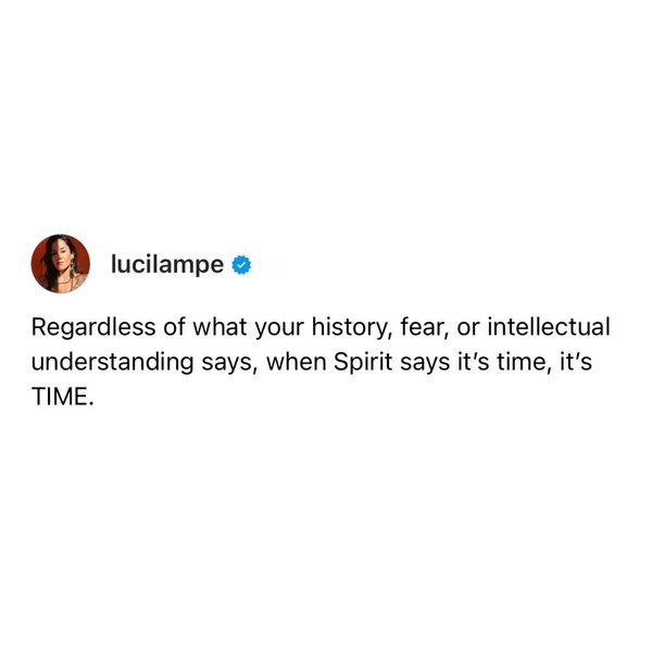 Thumbnail of p-dbxlxo2ytev-c9eb494d09d7451c 6