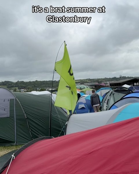 Thumbnail of c8ylcsvi-ro-ca0e1d84227b401c 1