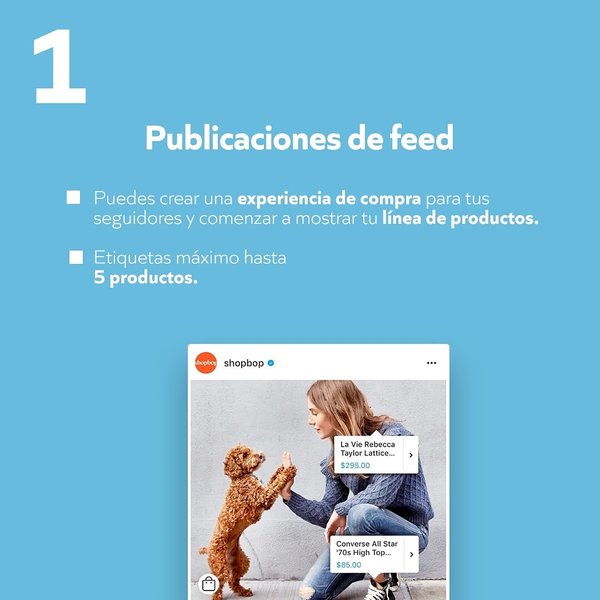 Thumbnail of p-b5bwovnfe9l-ca3a86cd099d4956 1