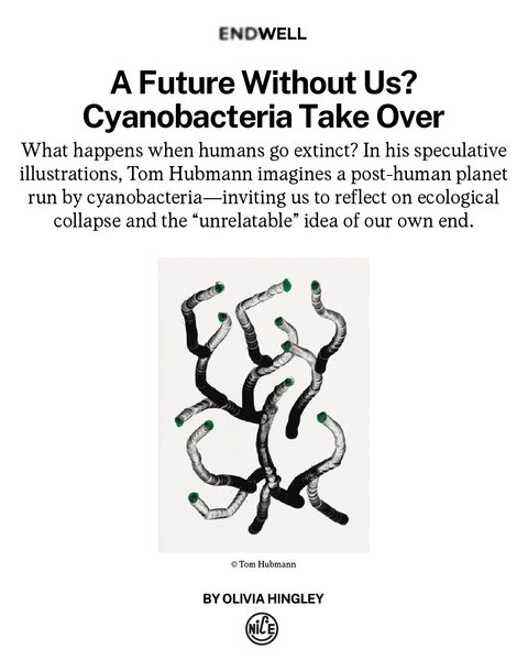 Thumbnail of p-dnliynthvr3-ca5d6082598b4235 8