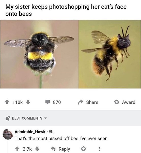 Thumbnail of b-tqk8vjps6-ca5f6ef1669d42bf 0