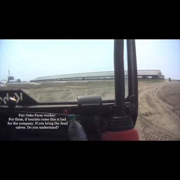 Thumbnail of p-byxlbghlxoy-ca75c9046c764e9a 2
