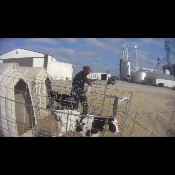 Thumbnail of p-byxlbghlxoy-ca75c9046c764e9a 3