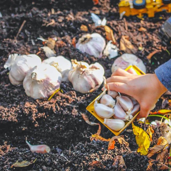 Thumbnail of www-instagram-com-p-cgvwgtfgu4t 0