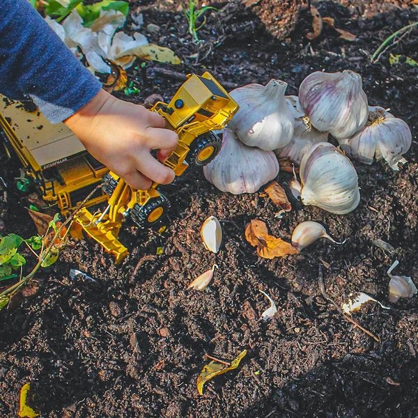 Thumbnail of www-instagram-com-p-cgvwgtfgu4t 1