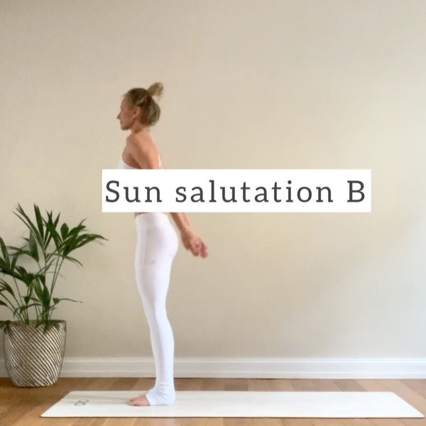 Thumbnail of p-chsmofklxe2-caa08b65b09f4cf3 2