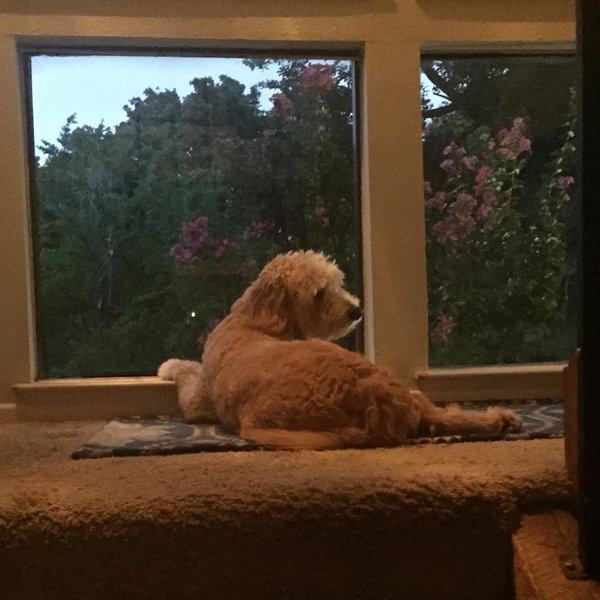 Thumbnail of p-b1jkljydqf-caac566d4cb04f17 0