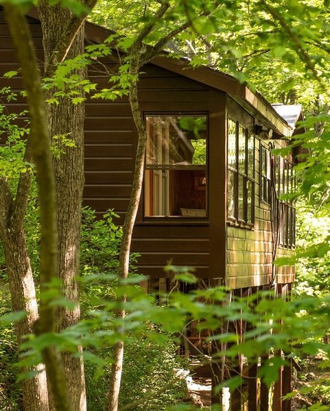 Thumbnail of p-dkzkikex8ca-cab915f3a11146ab 11