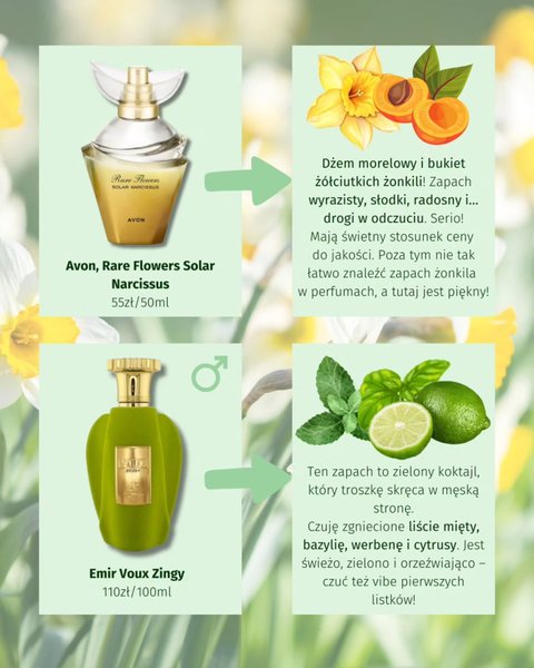 Thumbnail of p-dg53fa5nd5j-cae2ea0f96924cb5 2