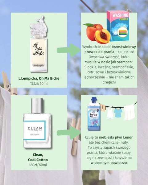 Thumbnail of p-dg53fa5nd5j-cae2ea0f96924cb5 3