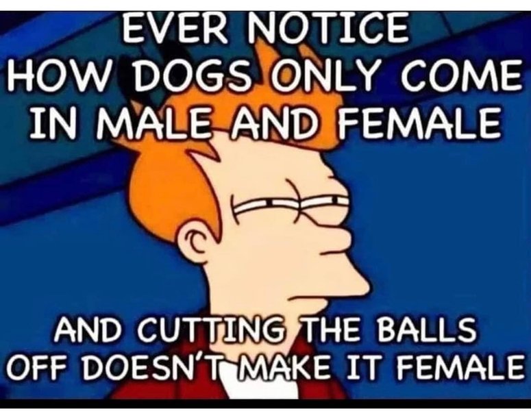 Thumbnail of p-ctp5yzfrvcr-cb1e7af2b6b74a85 0