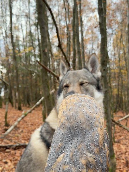 Thumbnail of p-dqpegqsglcn-cb21d161be5f42e1 4