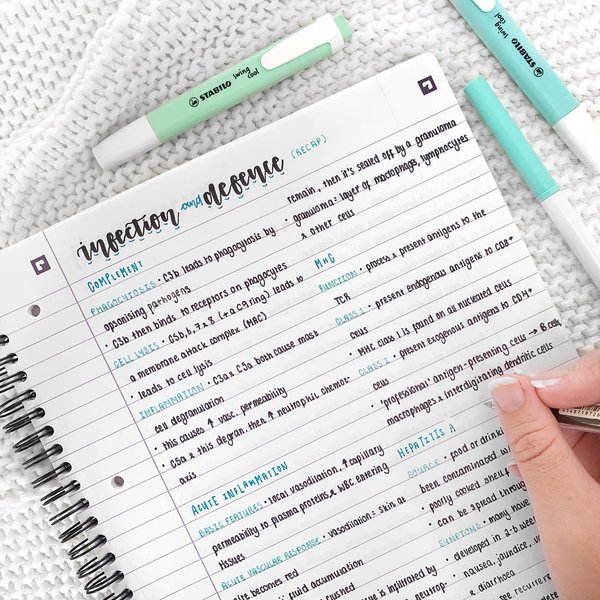 Thumbnail of p-b03dmeulq4r-cb25eadbec2f4c40 0