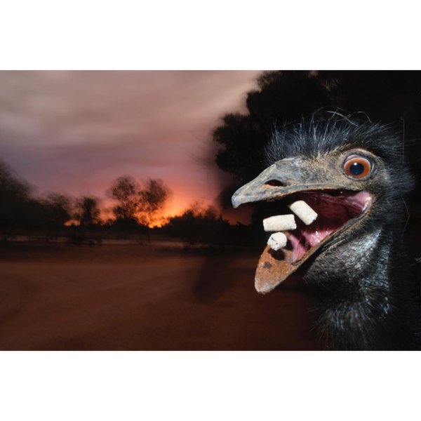 Thumbnail of cp5te-nhqvq-cbe7bdbbfb334da3 0