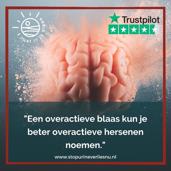 Thumbnail of ky-p2g9yv-cbeebf30a4e14a0a 0