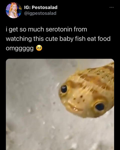 Thumbnail of cigqchpd-7h-cc19fd2ef6c4440b 0