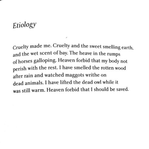 Thumbnail of p-cndhndpjegl-cc5a438d083d4a0d 0