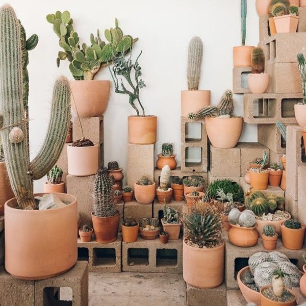 Thumbnail of p-cnnmfurguya-cc5b74856a134712 0