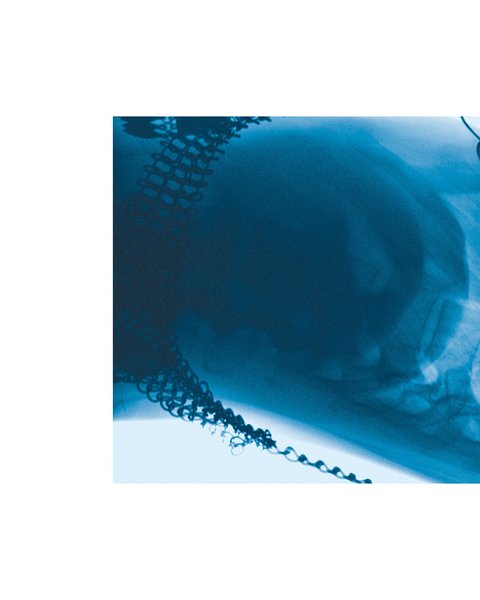 Thumbnail of p-dlh7alus0na-cc8623f1325b41b2 1