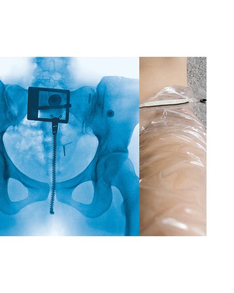 Thumbnail of p-dlh7alus0na-cc8623f1325b41b2 3