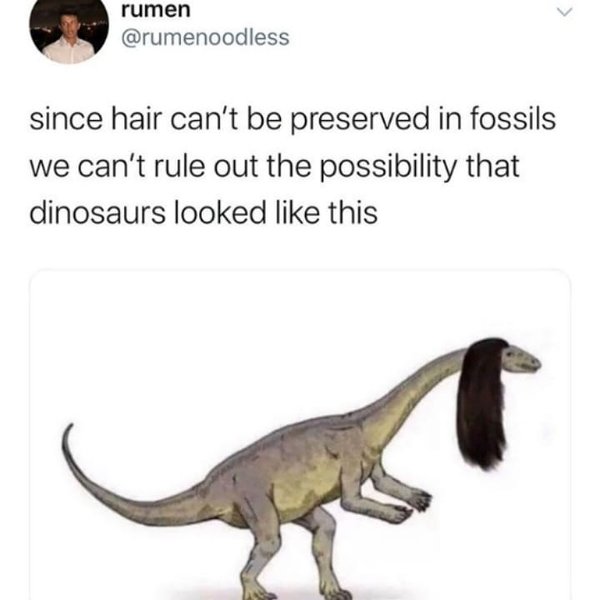 Thumbnail of p-b5bcfyifddn-ccc69b70005b4058 0