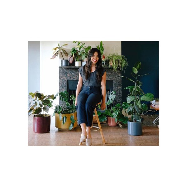 Thumbnail of p-bqgyed2ata8-cd0c352adad44fc4 0