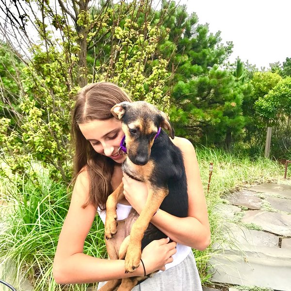 Thumbnail of p-bxxgwhegvbn-cd298eaaa07543fd 0