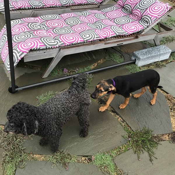 Thumbnail of p-bxxgwhegvbn-cd298eaaa07543fd 1