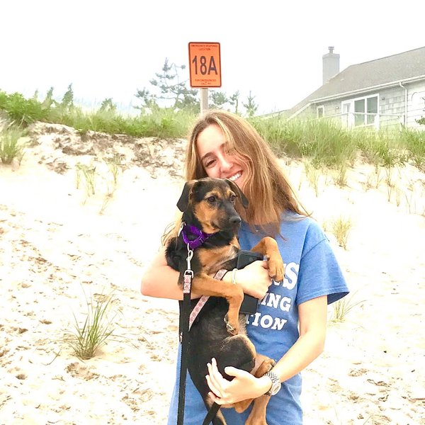 Thumbnail of p-bxxgwhegvbn-cd298eaaa07543fd 2