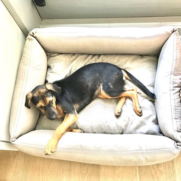 Thumbnail of p-bxxgwhegvbn-cd298eaaa07543fd 3