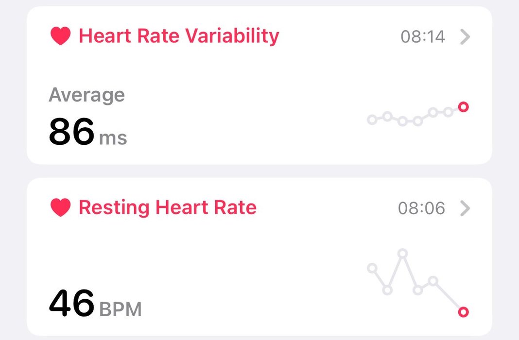 Thumbnail of www-x-com-jack-status-1930262645908615353-cd5622f05596455e