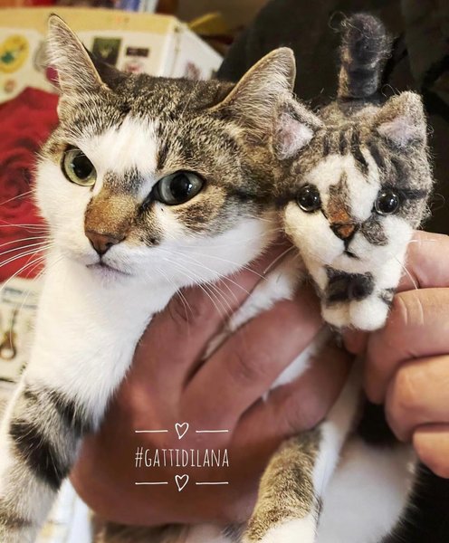 Thumbnail of c5y-kkilnhw-cd6d967b78a7472b 0