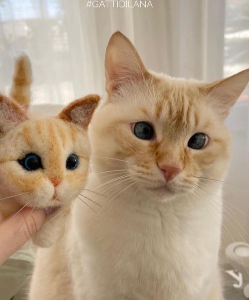 Thumbnail of c5y-kkilnhw-cd6d967b78a7472b 1