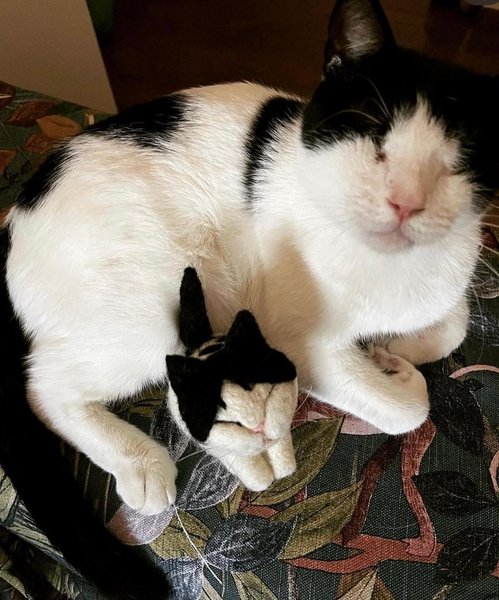 Thumbnail of c5y-kkilnhw-cd6d967b78a7472b 3