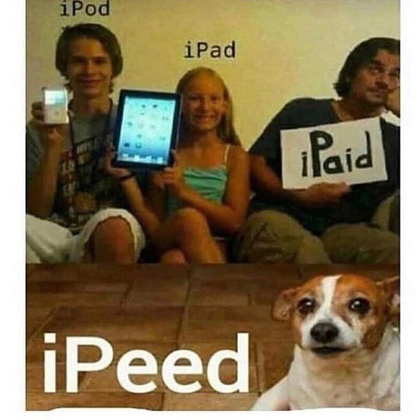 Thumbnail of p-bq5p0mjnsqq-cdf685f559ad429d 0