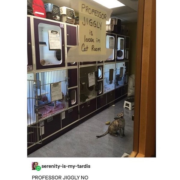 Thumbnail of p-cb8rrgdlwub-cdf7e6a6a4114f4b 0