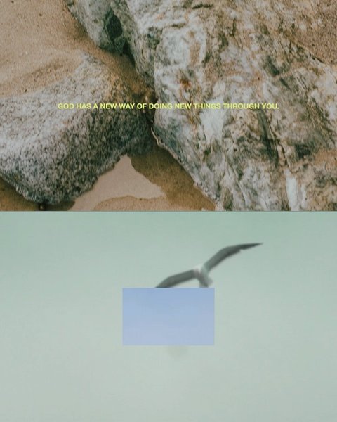 Thumbnail of p-cvszrrql9md-ce210e198cfa4ed5 3