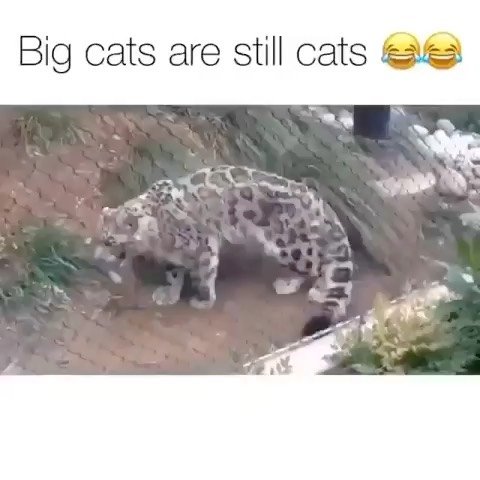 Thumbnail of p-cps1fy0jxeh-ce27245b92664026 0