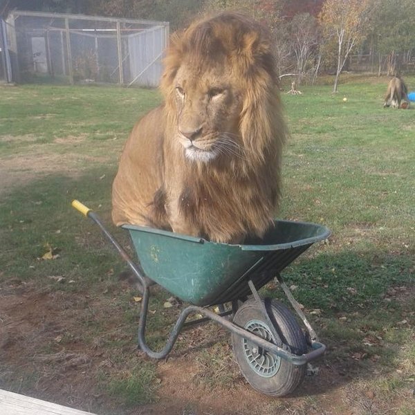 Thumbnail of p-cps1fy0jxeh-ce27245b92664026 3