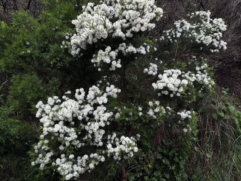 Thumbnail of www-instagram-com-p-dqczb50kjfa-img-index-12 3