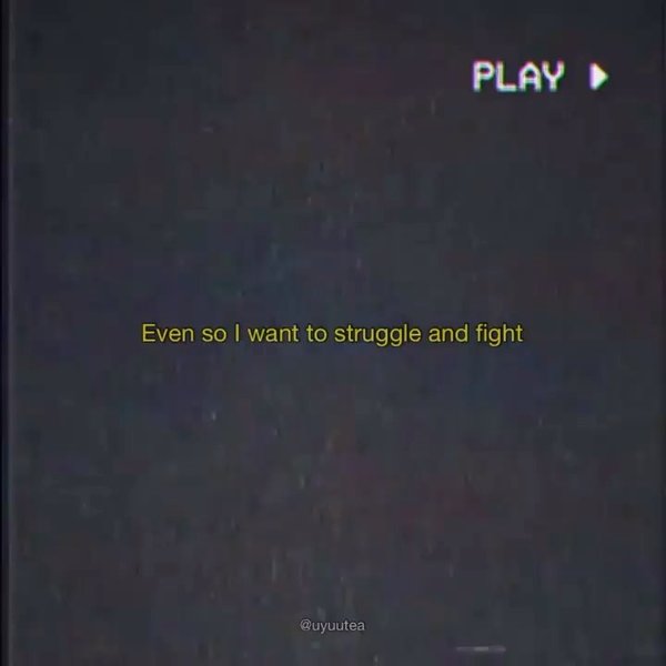 Thumbnail of p-cdesbi5p1wa-ce6e468f3e114d52 5