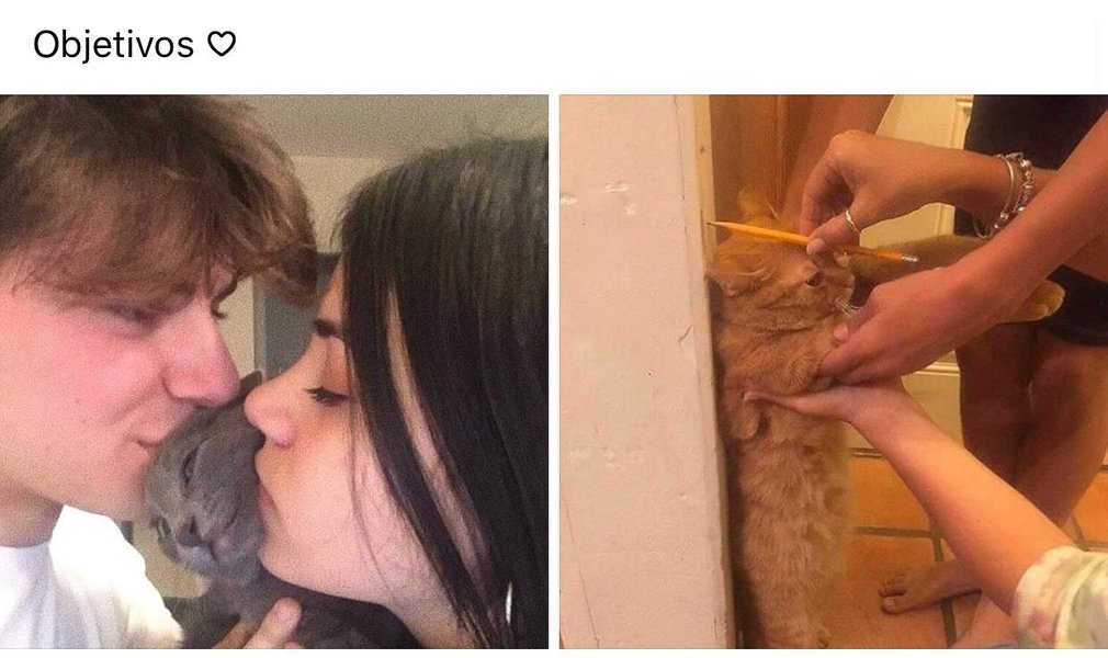 Thumbnail of p-capddzsdup2-ced9e05bf3b54923 0