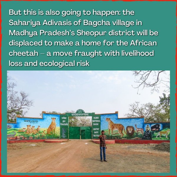 Thumbnail of p-cio1fl1ijhv-cf14ddace15b4f20 1