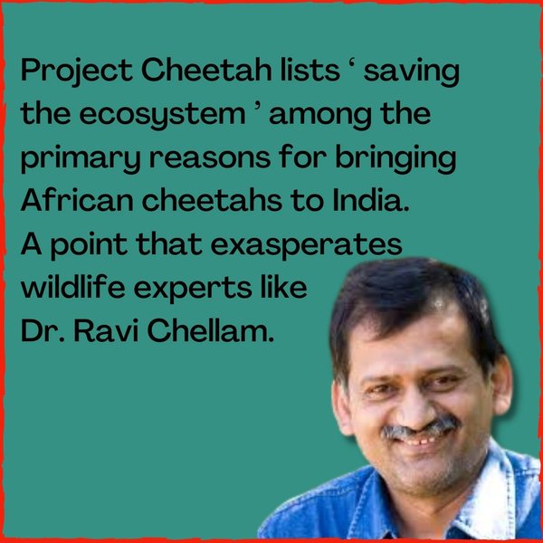 Thumbnail of p-cio1fl1ijhv-cf14ddace15b4f20 4