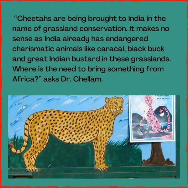 Thumbnail of p-cio1fl1ijhv-cf14ddace15b4f20 5