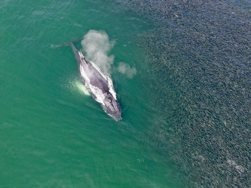 Thumbnail of p-b0cq967arvd-cf210ea60a974702 1