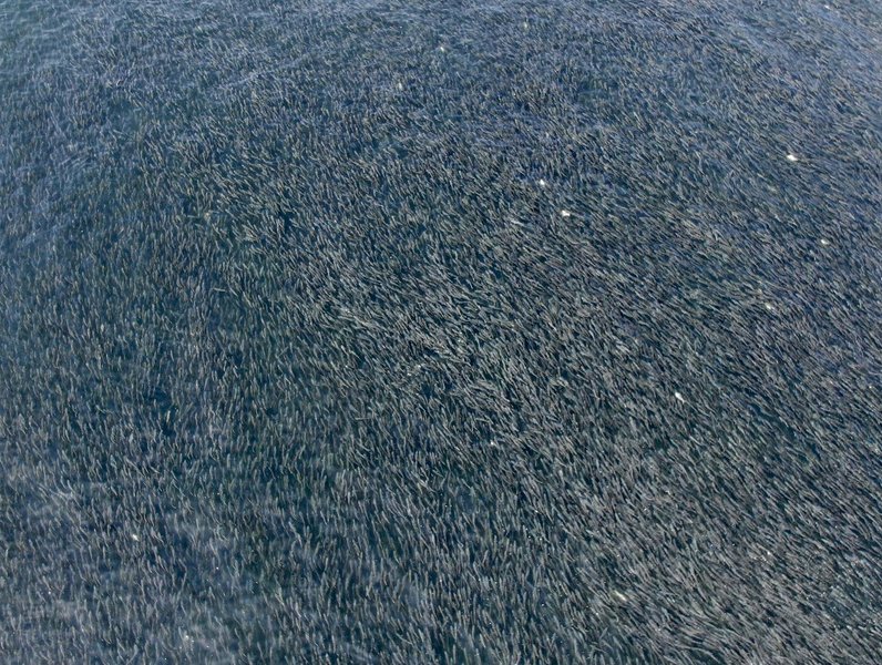 Thumbnail of p-b0cq967arvd-cf210ea60a974702 3