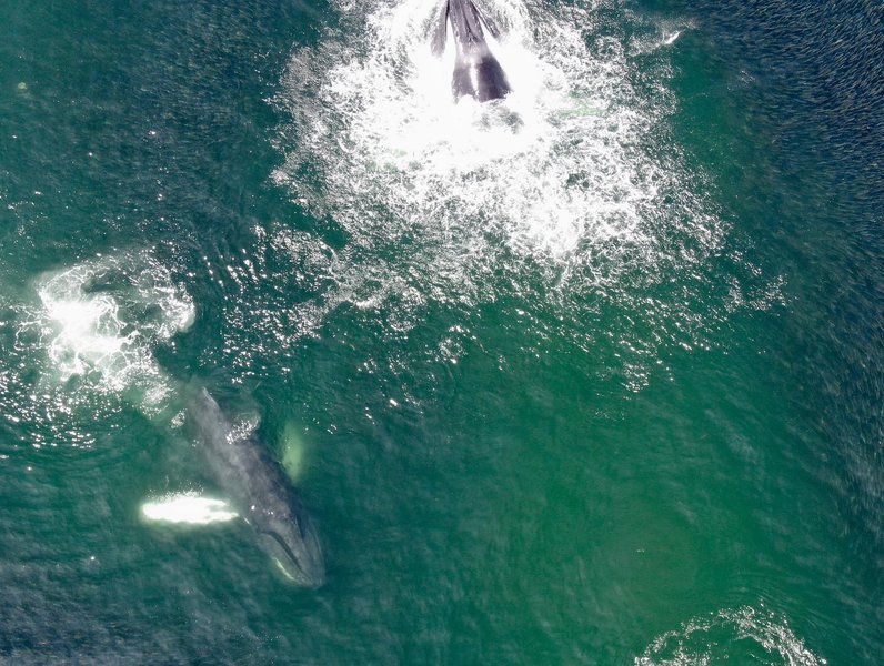 Thumbnail of p-b0cq967arvd-cf210ea60a974702 4