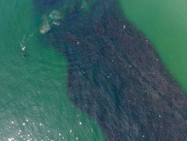 Thumbnail of p-b0cq967arvd-cf210ea60a974702 5